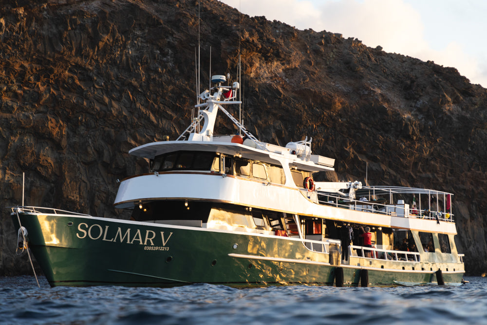 Magdalena Bay Sardine Run Expedition / Mexico