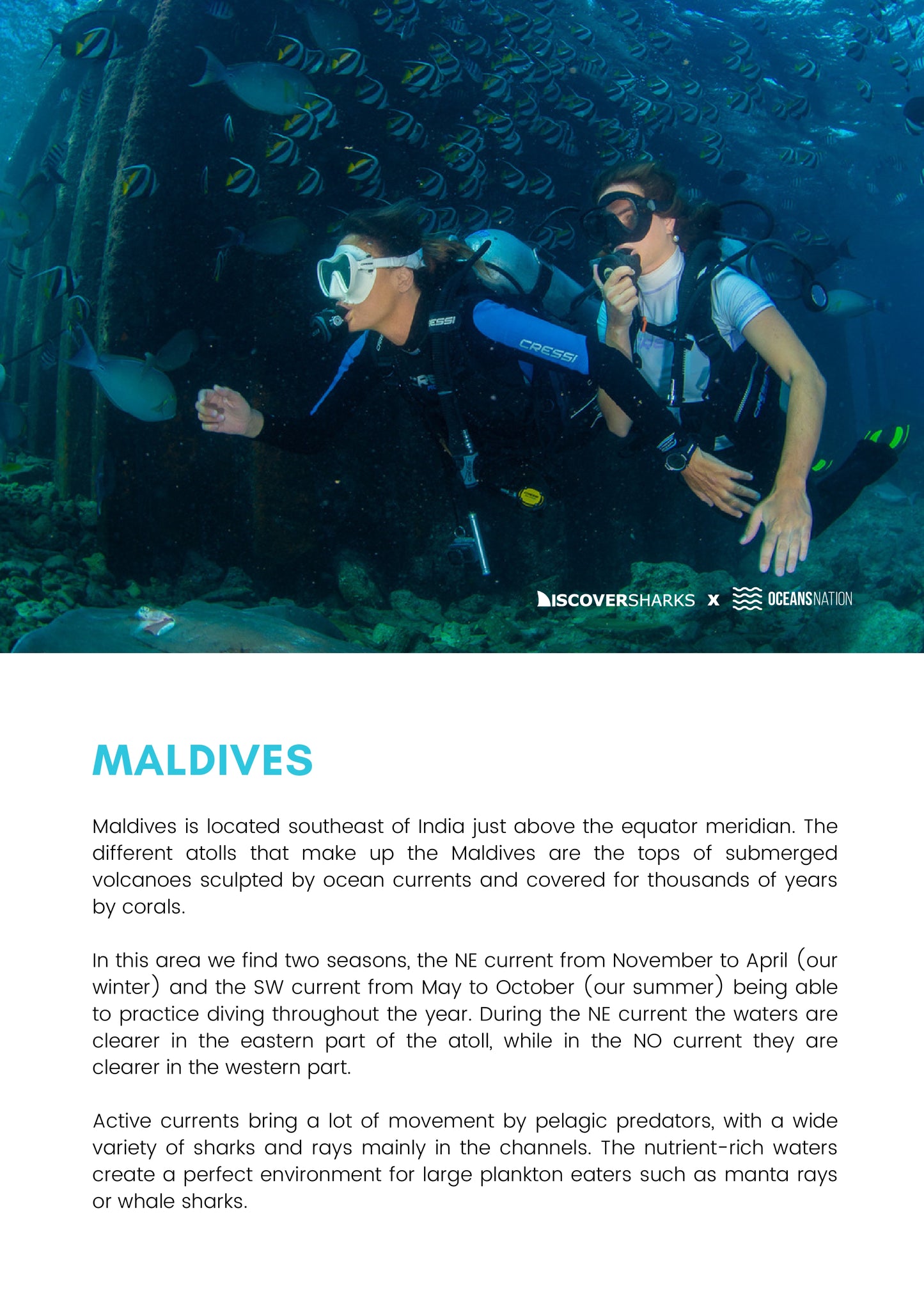 Maldives Sharks & Mantas Liveaboard