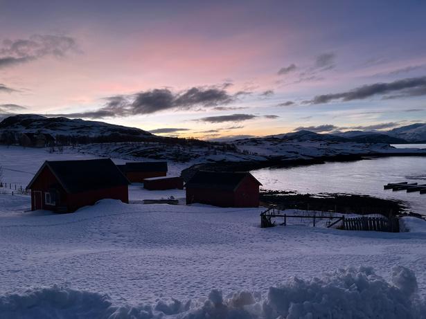 Orcas & Whales in the Arctic Expedition / Norway 2026