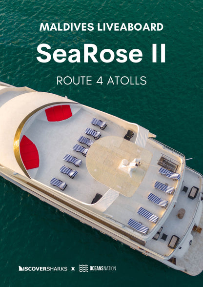 Maldives Sharks & Mantas Liveaboard