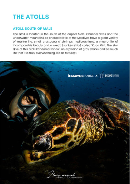 Maldives Sharks & Mantas Liveaboard