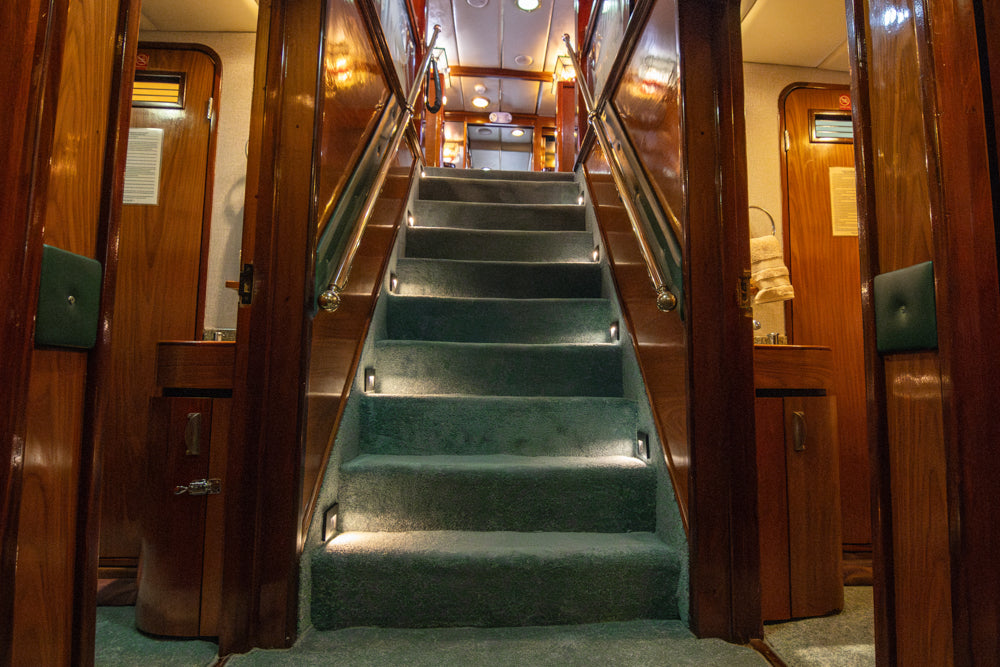 Magdalena Bay Sardine Run Expedition / Mexico