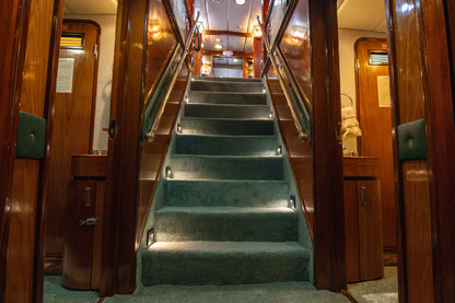 Magdalena Bay Sardine Run Expedition / Mexico