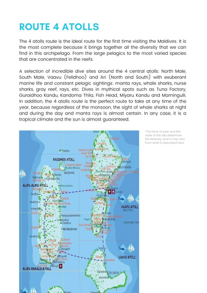 Maldives Sharks & Mantas Liveaboard