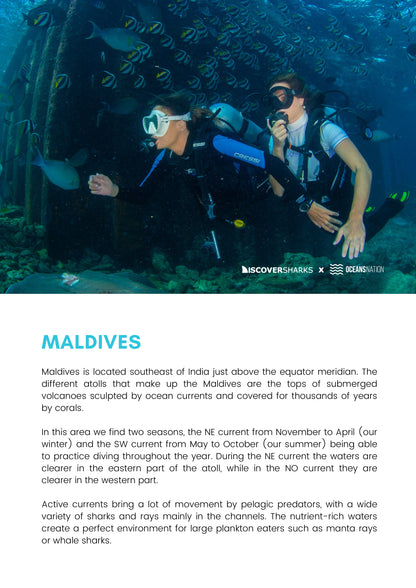 Maldives Sharks & Mantas Liveaboard