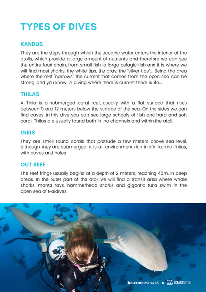 Maldives Sharks & Mantas Liveaboard