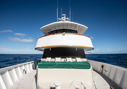 Magdalena Bay Sardine Run Expedition / Mexico