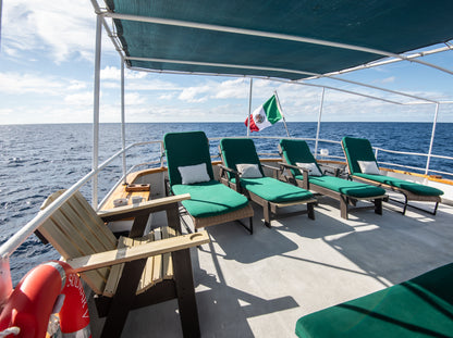 Magdalena Bay Sardine Run Expedition / Mexico