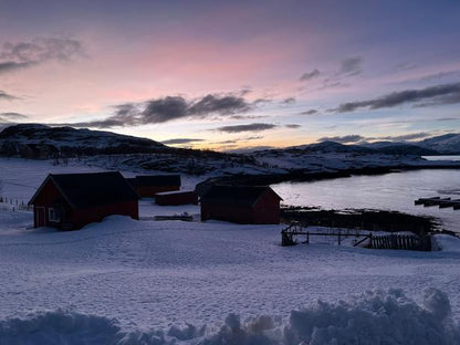 Orcas & Whales in the Arctic Expedition / Norway 2026