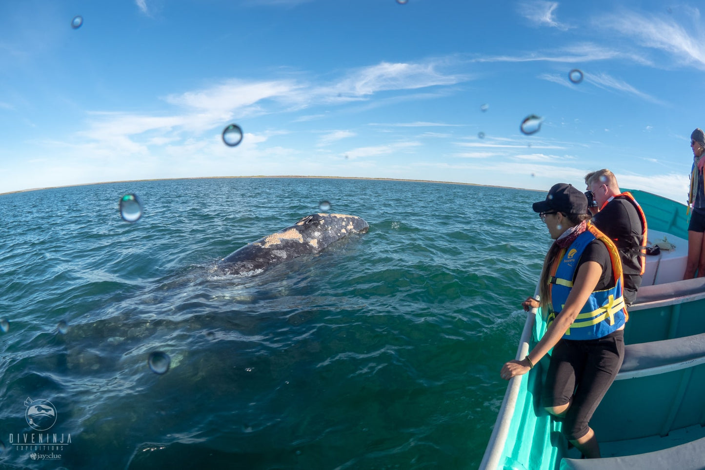 Gentle Giants Expedition - Baja California, Mexico