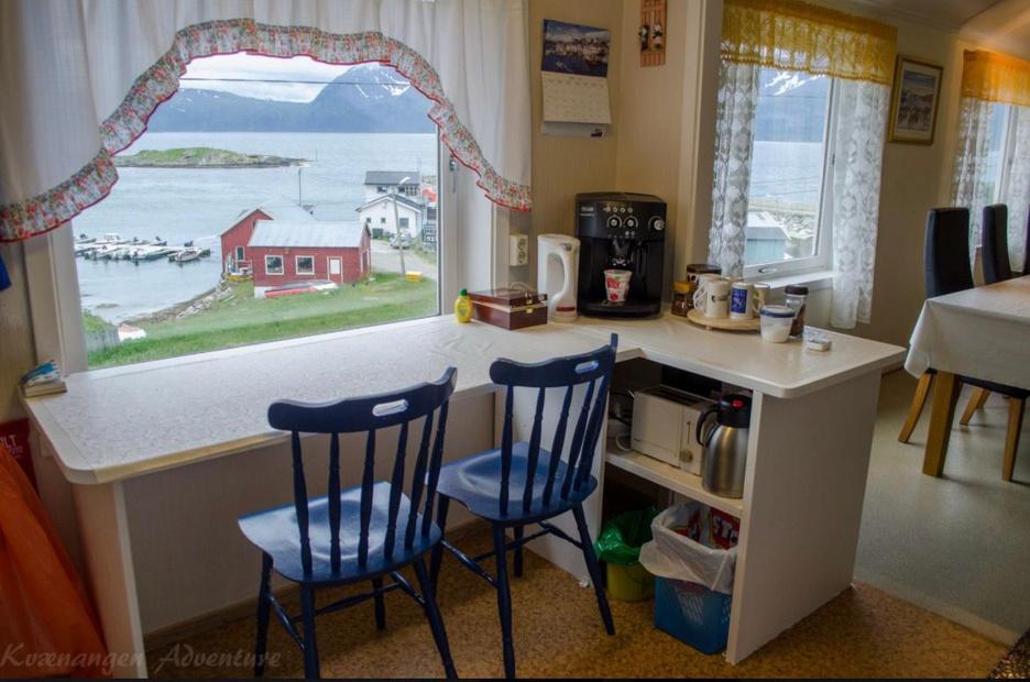 Orcas & Whales in the Arctic Expedition / Norway 2026