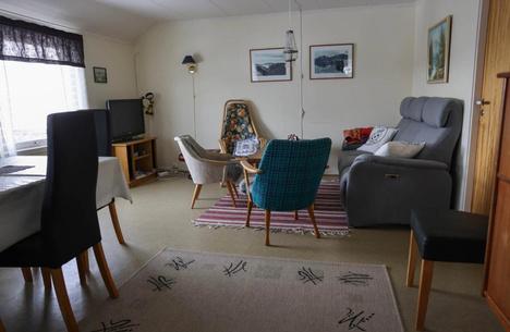 Orcas & Whales in the Arctic Expedition / Norway 2026