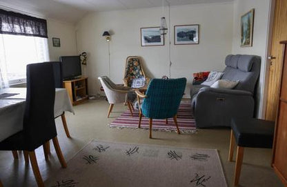 Orcas & Whales in the Arctic Expedition / Norway 2026