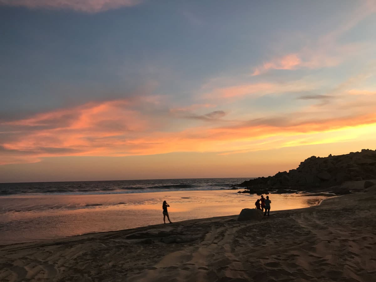 Gentle Giants Expedition - Baja California, Mexico