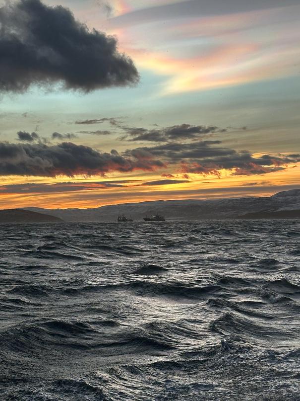 Orcas & Whales in the Arctic Expedition / Norway 2026