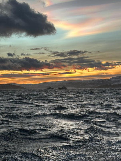 Orcas & Whales in the Arctic Expedition / Norway 2026