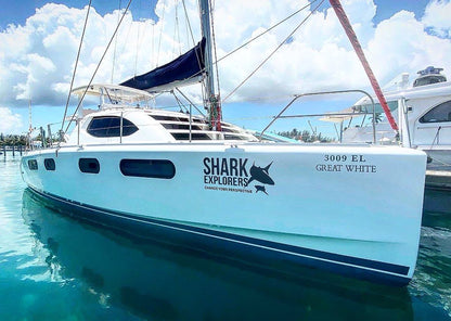 Tiger Shark & Great Hammerhead Expedition